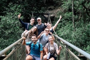 Gold Coast: Wycieczka do 7 wodospadów i naturalnego mostu w Springbrook