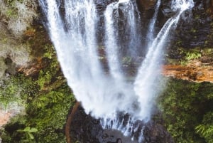 Gold Coast: Wycieczka do 7 wodospadów i naturalnego mostu w Springbrook