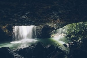 Gold Coast: Wycieczka do 7 wodospadów i naturalnego mostu w Springbrook