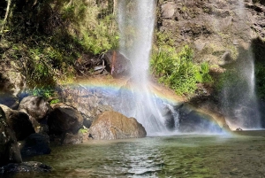 Gold Coast: Wycieczka do 7 wodospadów i naturalnego mostu w Springbrook