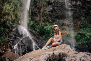 Gold Coast: Wycieczka do 7 wodospadów i naturalnego mostu w Springbrook
