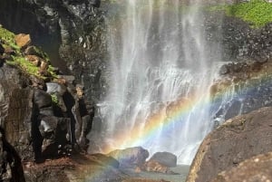 Gold Coast: Wycieczka do 7 wodospadów i naturalnego mostu w Springbrook