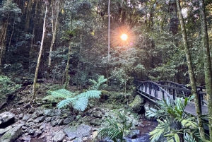 Gold Coast: Wycieczka do 7 wodospadów i naturalnego mostu w Springbrook