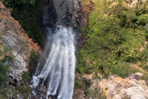 Gold Coast: Wycieczka do 7 wodospadów i naturalnego mostu w Springbrook