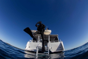 Gold Coast: SSI Open Water dykkerkursus