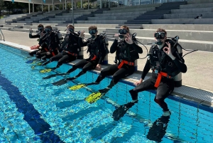 Gold Coast: SSI Open Water dykkerkursus