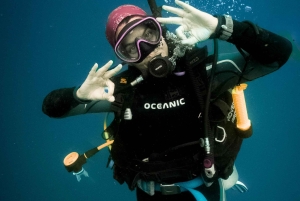 Gold Coast: SSI Open Water dykkerkursus