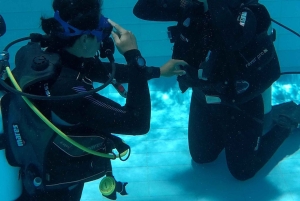 Gold Coast: SSI Open Water dykkerkursus