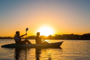 Costa Dorada: Excursión en kayak al atardecer a la Isla Macintosh