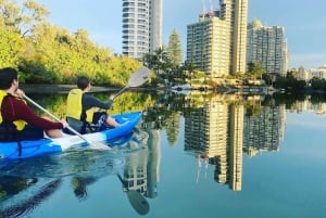 Costa Dorada: Excursión en kayak al atardecer a la Isla Macintosh