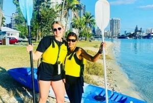 Gold Coast: Tour in kayak al tramonto sull'isola di Macintosh