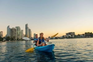Gold Coast: Kajakktur til Macintosh Island ved solnedgang