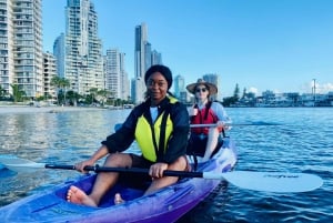 Costa Dorada: Excursión guiada en kayak por Surfers Paradise