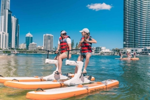 Gold Coast: Surfers Paradise Waterbike Experience