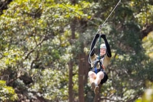 Costa Dorada: Excursión en tirolina por el Cañón Volador de la Montaña Tamborine