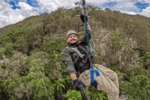 Côte d'or : Circuit en tyrolienne dans le canyon de Tamborine Mountain