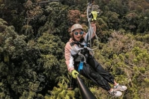 Côte d'or : Circuit en tyrolienne dans le canyon de Tamborine Mountain