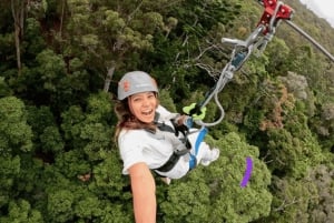 Côte d'or : Circuit en tyrolienne dans le canyon de Tamborine Mountain
