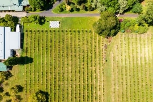Gold Coast: Tamborine Mountain Local Winery Tour med frokost