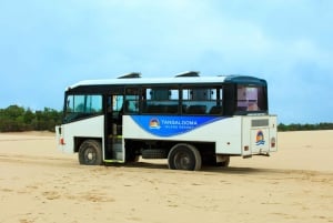 Gold Coast: Tangalooma Desert Safari Day Cruise Transfers