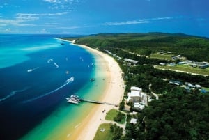 Gold Coast: Transport til Tangalooma Marine Discovery Day Cruise