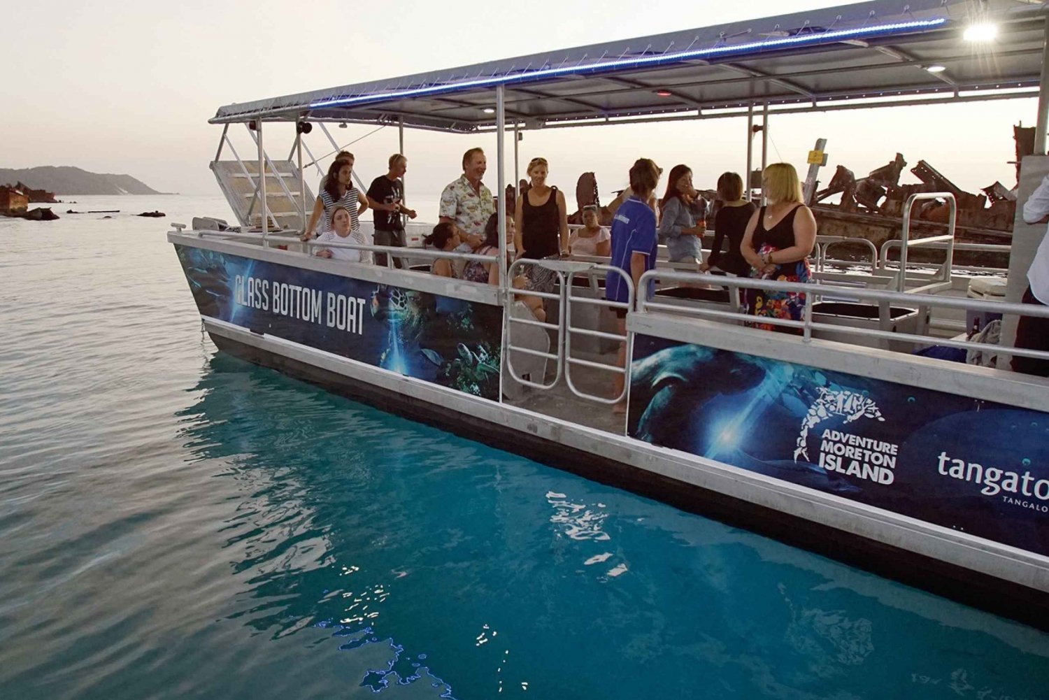Goldküste: Tangalooma Marine Discovery Day Cruise Transfers