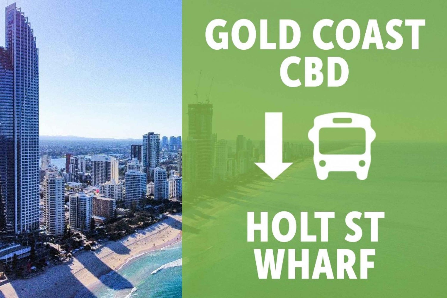 GOLD COAST: TANGALOOMA SHUTTLE FROM CBD TO HOLT ST WHARF