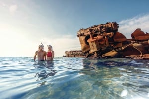 Guldkusten: Tangalooma Snorkel the Wrecks Kryssning Transfers