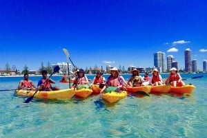 Gold Coast: Tour in kayak e snorkeling dell'isola di Wave Break