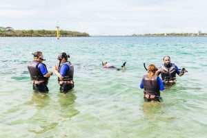 Côte d'Or : Excursion en kayak et plongée en apnée sur l'île de Wave Break