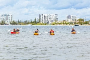 Gold Coast: Wycieczka kajakiem i nurkowanie na wyspie Wave Break