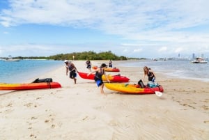 Gold Coast: Wave Break Island Kajakointi & Snorklaus retki