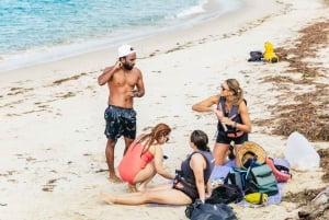 Costa de Ouro: Passeio de caiaque e mergulho com snorkel na ilha Wave Break