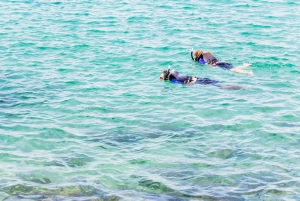 Guldkusten: Wave Break Island Kajak- och snorklingstur