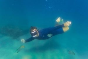 Costa Dorada: Excursión en kayak y snorkel por la isla Wave Break