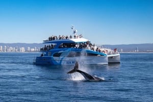 Gold Coast: walvistour en toegang tot Sea World