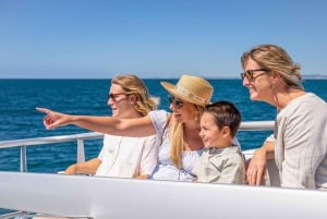 Gold Coast: Whale-Watching-Bootsfahrt und Eintritt in Sea World