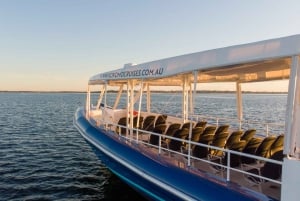 Playa Principal: Crucero para avistar ballenas en la Costa Dorada