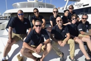 Gold Coast: Guidet tur med hvalsafari
