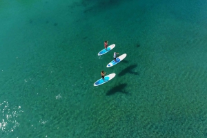 Kingscliff: Paddleboard and Mindfullness in the Mangroves