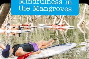 Kingscliff: Paddleboard and Mindfullness in the Mangroves