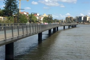 Lone Pine und Brisbane Stadt Highlights