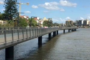 Lone Pine and Brisbane City Highlights