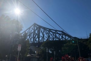 Lone Pine and Brisbane City Highlights