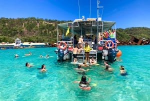 Moreton Island: Dolphin and Tangalooma Wrecks Day Cruise