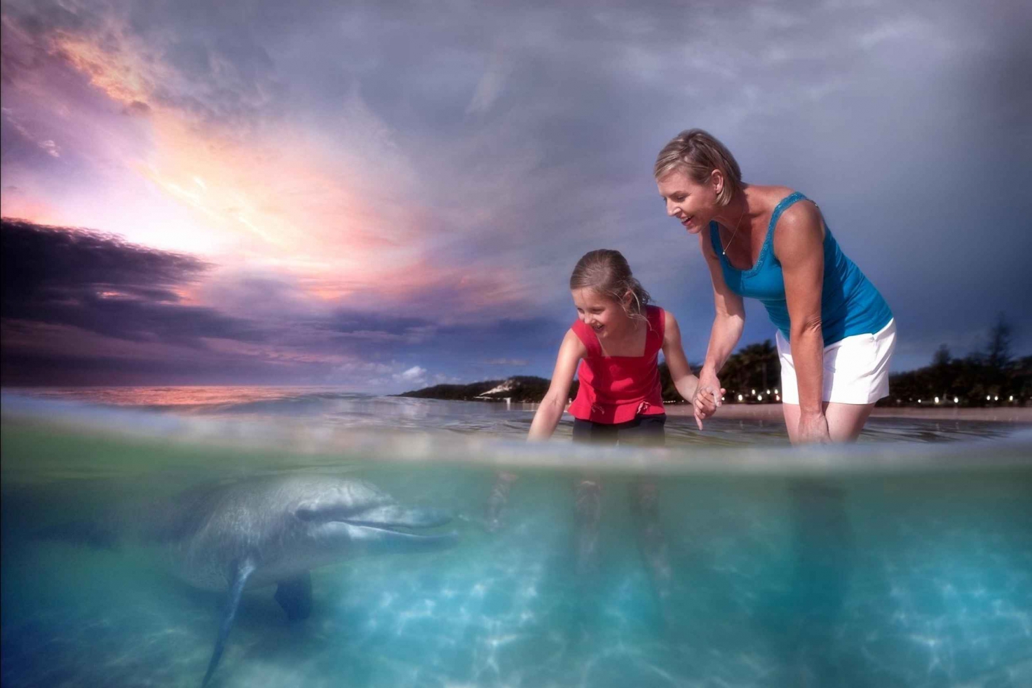 Moreton Island: Marin upptäcktskryssning och matning av delfiner