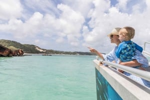 モートン島：マリン ディスカバリー クルーズとイルカの餌やり
