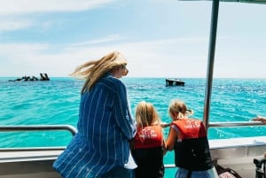 L'île de Moreton : Croisière de découverte du milieu marin et nourrissage des dauphins