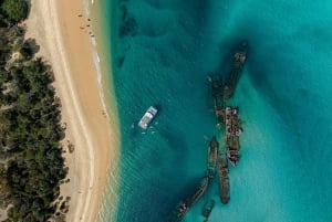 Moreton Island: Premium Tangalooma Snorkel & Dolphin Tour