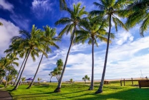 Moreton Eiland: Tangalooma Dagtrip Marine Discovery Cruise